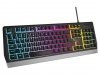 Genesis Klawiatura Rhod 300 podświetlenie RGB